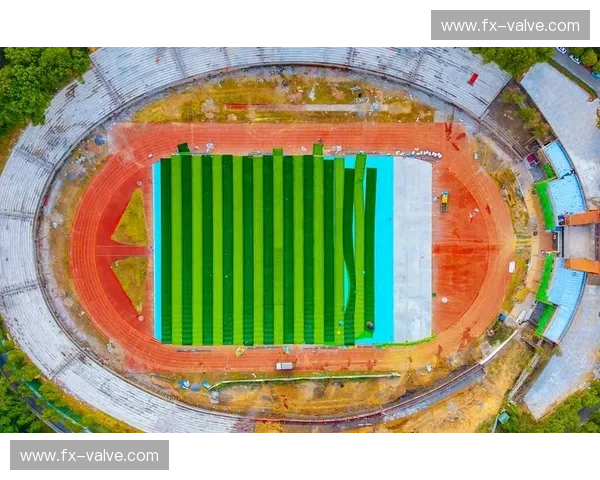 体育标准化发展：推动竞技水平提升与全民健身目标实现的路径探索